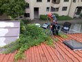 Entfernen von Dachbewuchs